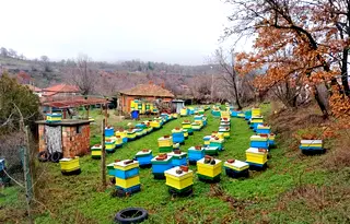 Къща в Сливен, с. Сотиря