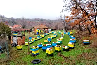 Къща в Сливен, с. Сотиря