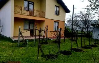 Къща в Стара Загора, с. Сърнево