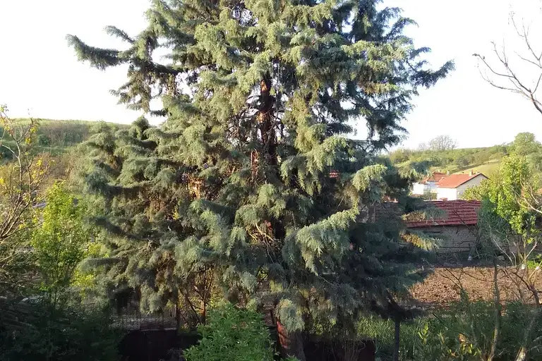 Къща в Ямбол, с. Тенево