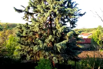 Къща в Ямбол, с. Тенево