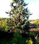 Къща в Ямбол, с. Тенево