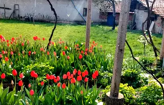 Къща в Плевен, с. Тодорово