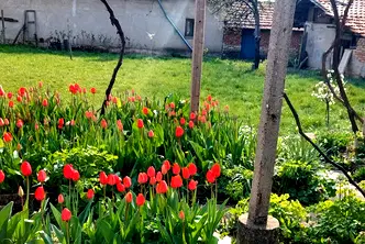 Къща в Плевен, с. Тодорово