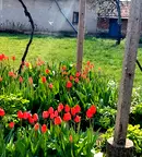 Къща в Плевен, с. Тодорово