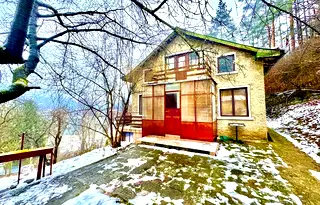 Къща в София, с. Томпсън