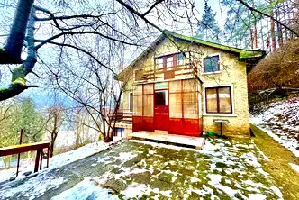 Къща в София, с. Томпсън