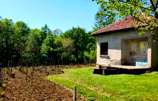 Къща във Враца, с. Веслец