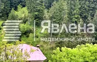 Къща в Смолян, с. Виево