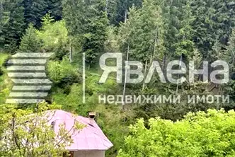 Къща в Смолян, с. Виево