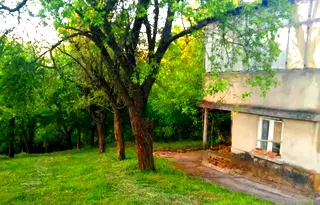 Къща в Търговище, с. Яребично