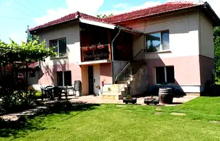 Къща в Плевен, с. Згалево