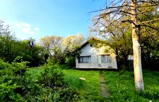 Къща в София, Факултета