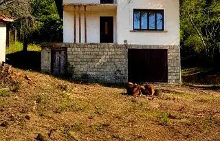 Къща в София, Витоша