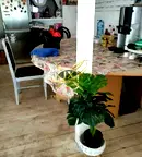 Къща в Бургас, Созопол