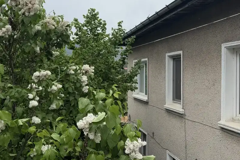Къща в Пазарджик, Велин