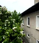 Къща в Пазарджик, Велин