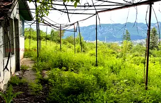 Къща във Враца, Студентски град