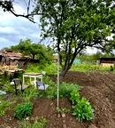 Къща във Варна, Вълчи дол