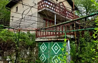 Къща в София, Златица