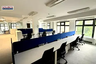 Офис в София, Борово