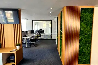 Офис в София, Център