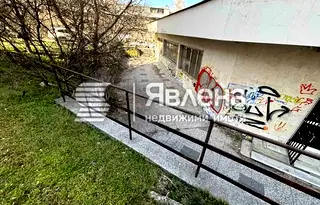 Офис в София, Дървеница