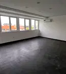 Офис в София, Дървеница