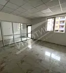 Офис в София, Дървеница