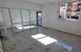 Офис в София, Дървеница