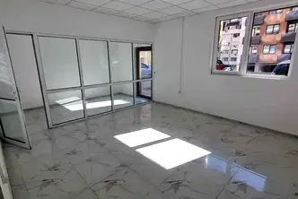 Офис в София, Дървеница