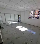 Офис в София, Дървеница