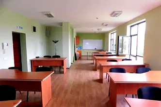 Офис в София, Дървеница