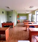 Офис в София, Дървеница