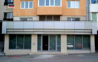 Офис в София, Дървеница