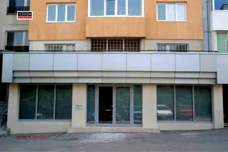 Офис в София, Дървеница
