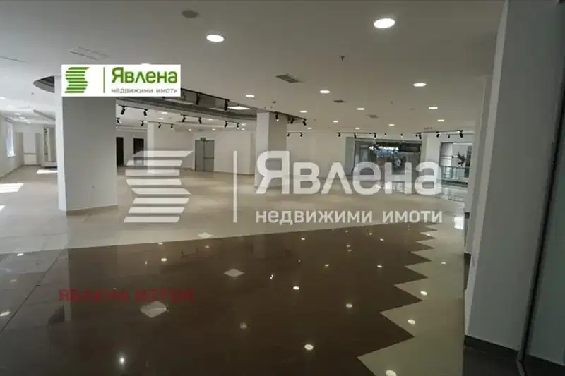Office in Sofiya, Geo Milev