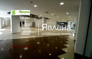 Офис в София, Гео Милев