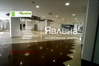 Офис в София, Гео Милев