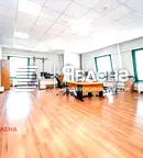 Офис в София, Горубляне