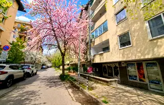Офис в София, Хладилника