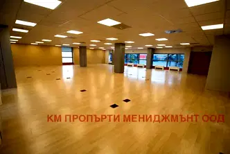 Офис в София, Лозенец