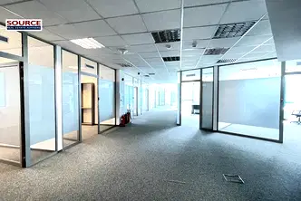 Офис в София, Борово