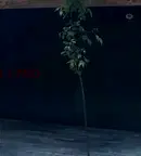 Гараж/Паркомясто в София, Бояна