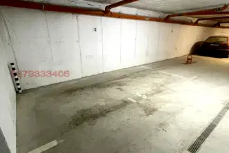 Гараж/Паркомясто в София, Дървеница