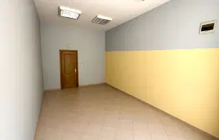 Магазин в Плевен, Широк център