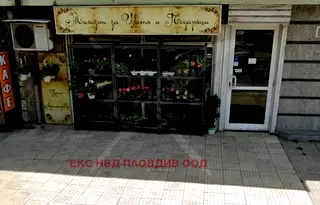 Магазин в Пловдив, Христо Смирненски
