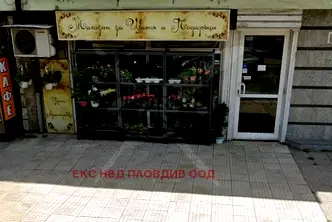 Магазин в Пловдив, Христо Смирненски