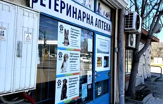 Магазин в София, Банишора