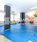 Магазин в София, Борово